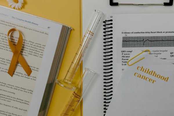 Découvrez les vertus de la tisane de romarin bio